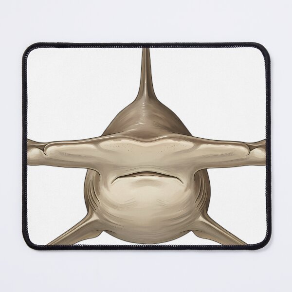 Item preview, Vintage Naturalist Scalloped Hammerhead Portrait — Antique Shark Art designed and sold by Catch333.