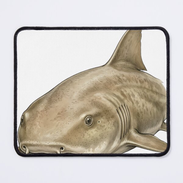 Item preview, Vintage Naturalist Nurse Shark Portrait — Antique Shark Art designed and sold by Catch333.