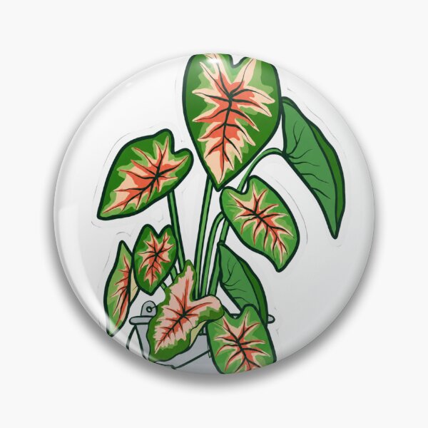 Item preview, Vibrant Caladium Houseplant in Metal Pot designed and sold by obalartsMerch.