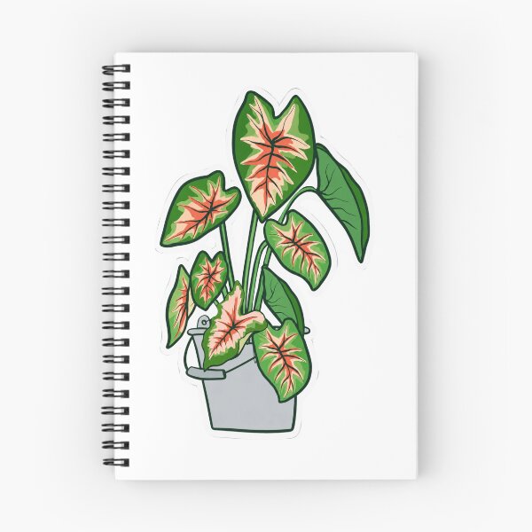Item preview, Vibrant Caladium Houseplant in Metal Pot designed and sold by obalartsMerch.