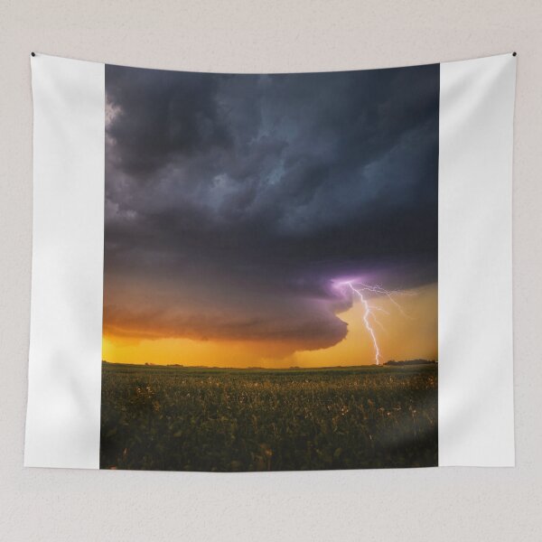 Item preview, Koala California Ucr Uc Riverside  Nap Time designed and sold by klo4g.
