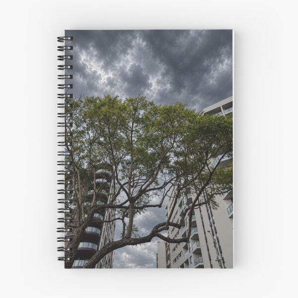Item preview, Koala Viessmann Group aHugging Eucalyptus designed and sold by klo4g.