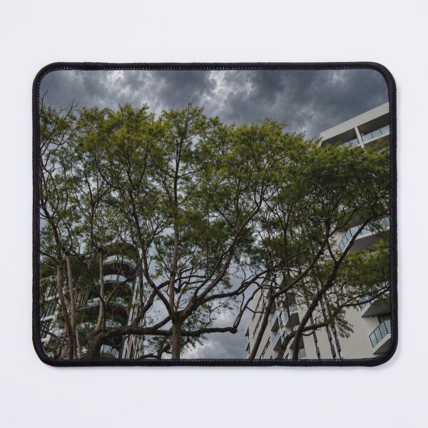 Item preview, Koala Viessmann Group aHugging Eucalyptus designed and sold by klo4g.