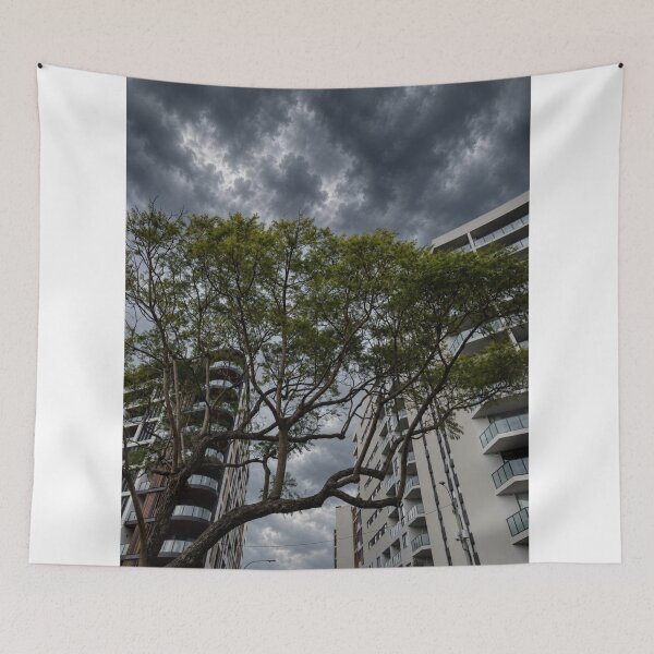 Item preview, Koala Viessmann Group aHugging Eucalyptus designed and sold by klo4g.