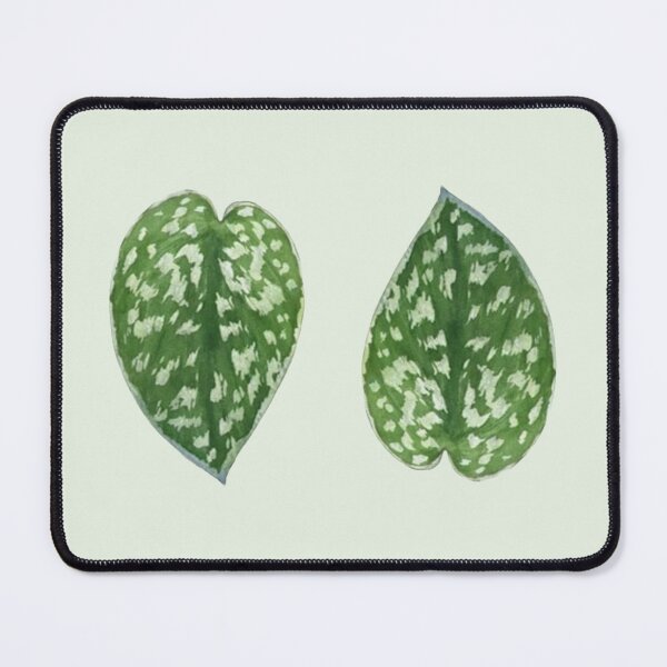 Item preview, Scindapsus pictus 'Argyraeus' designed and sold by mooneko.