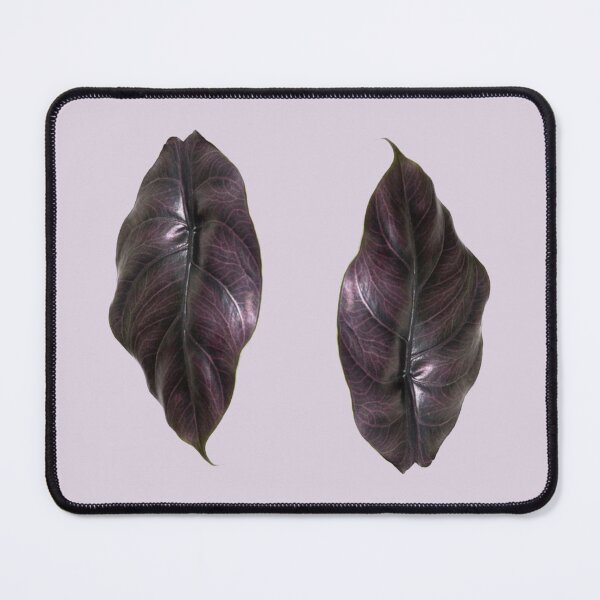 Item preview, Alocasia Azlanii designed and sold by mooneko.