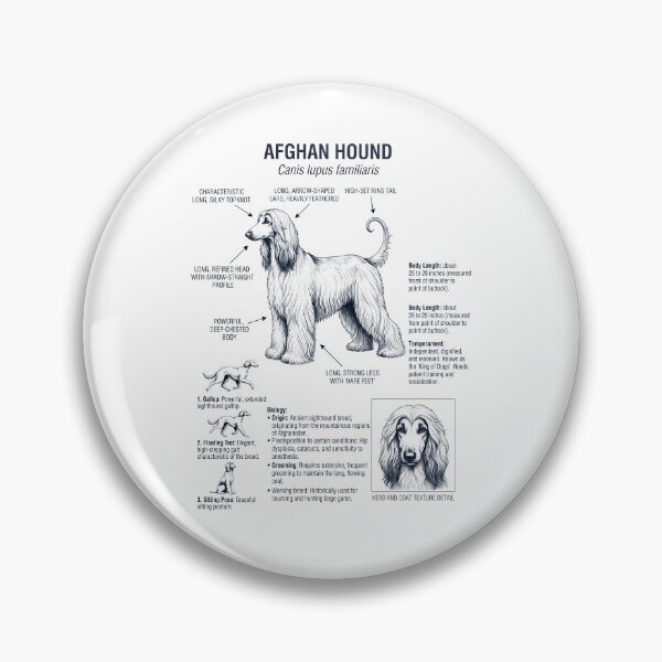 Item preview, Afghan Hound Scientific Anatomy Biology Dog Lover designed and sold by dian-rody-crest.