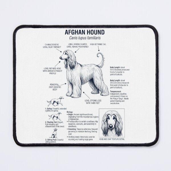 Item preview, Afghan Hound Scientific Anatomy Biology Dog Lover designed and sold by dian-rody-crest.