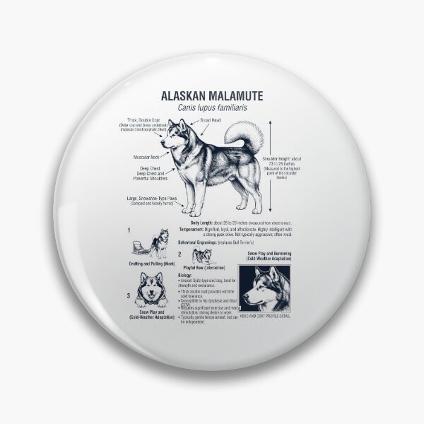 Item preview, Alaskan Malamute Scientific Anatomy Biology Dog Lover designed and sold by dian-rody-crest.