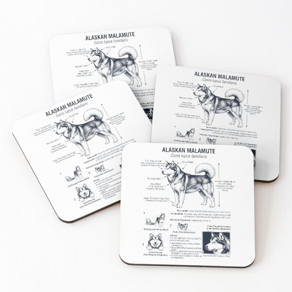Item preview, Alaskan Malamute Scientific Anatomy Biology Dog Lover designed and sold by dian-rody-crest.