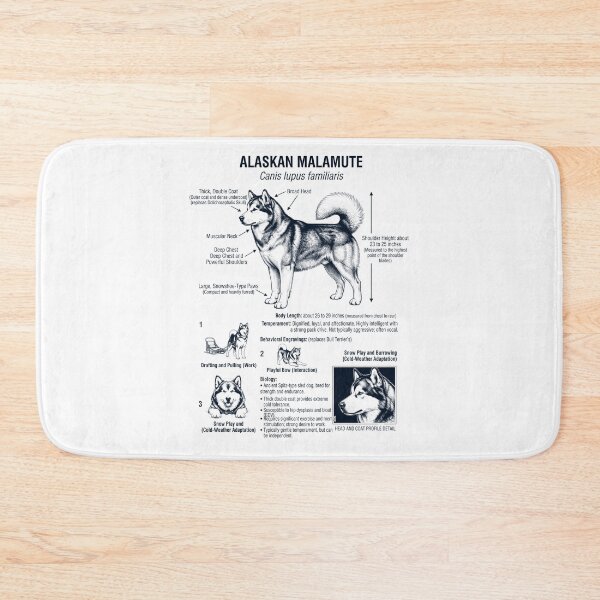 Item preview, Alaskan Malamute Scientific Anatomy Biology Dog Lover designed and sold by dian-rody-crest.