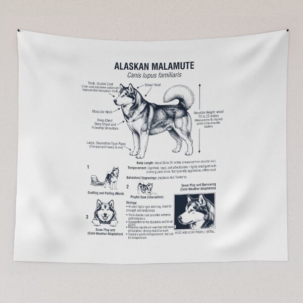 Item preview, Alaskan Malamute Scientific Anatomy Biology Dog Lover designed and sold by dian-rody-crest.