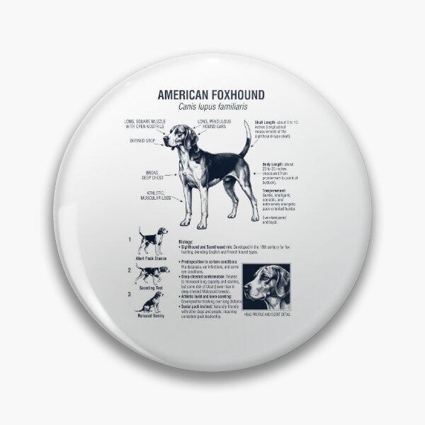 Item preview, American Foxhound Scientific Anatomy Biology Dog Lover designed and sold by dian-rody-crest.