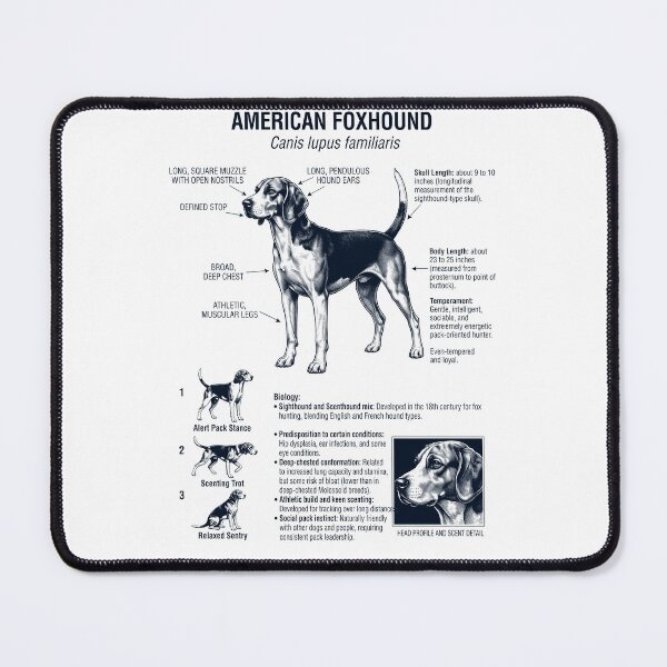 Item preview, American Foxhound Scientific Anatomy Biology Dog Lover designed and sold by dian-rody-crest.
