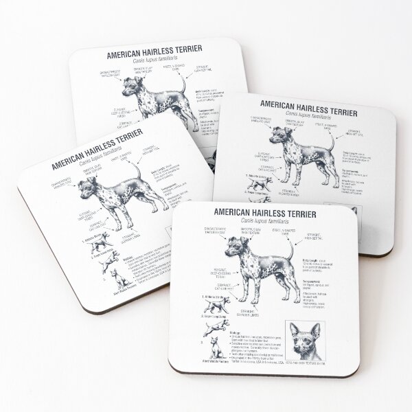 Item preview, American Hairless Terrier Anatomía Científica Biología Amante de los Perros designed and sold by dian-rody-crest.