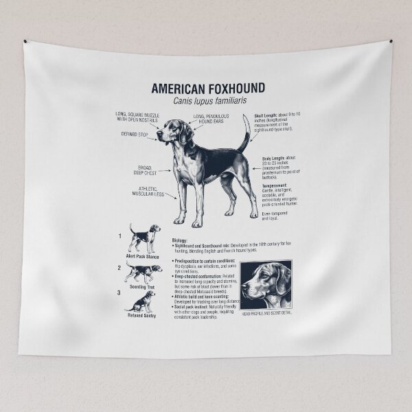 Item preview, American Foxhound Scientific Anatomy Biology Dog Lover designed and sold by dian-rody-crest.