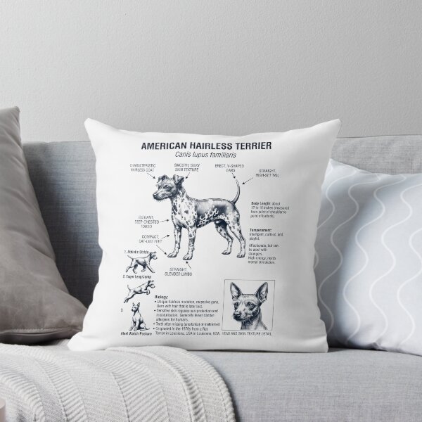 Item preview, American Hairless Terrier Scientific Anatomy Biology Dog Lover designed and sold by dian-rody-crest.