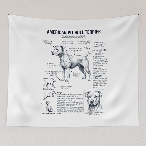 Item preview, American Pit Bull Terrier Anatomía Científica Biología Amante de los Perros designed and sold by dian-rody-crest.
