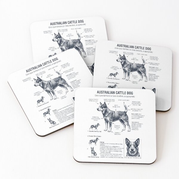 Item preview, Australian Cattle Dog Scientific Anatomy Biology Dog Lover designed and sold by dian-rody-crest.