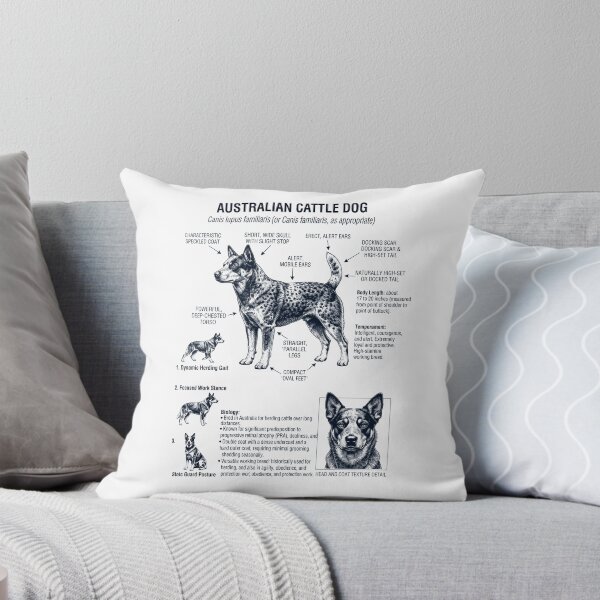 Item preview, Australian Cattle Dog Scientific Anatomy Biology Dog Lover designed and sold by dian-rody-crest.