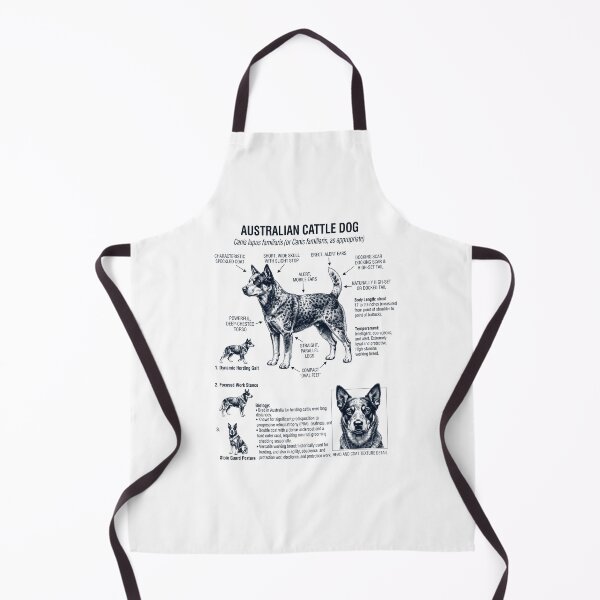 Item preview, Australian Cattle Dog Scientific Anatomy Biology Dog Lover designed and sold by dian-rody-crest.