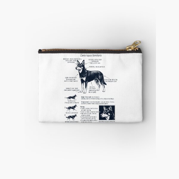 Item preview, Australian Kelpie Scientific Anatomy Biology Dog Lover designed and sold by dian-rody-crest.