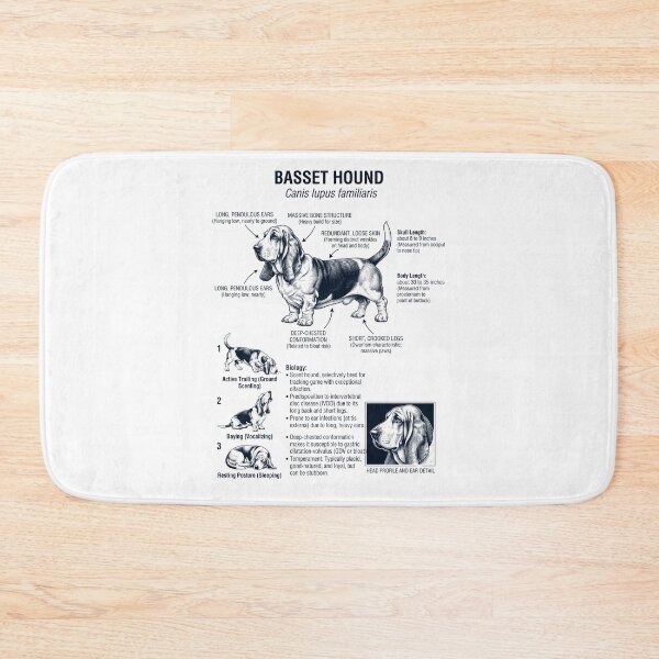 Item preview, Basset Hound Scientific Anatomy Biology Dog Lover designed and sold by dian-rody-crest.