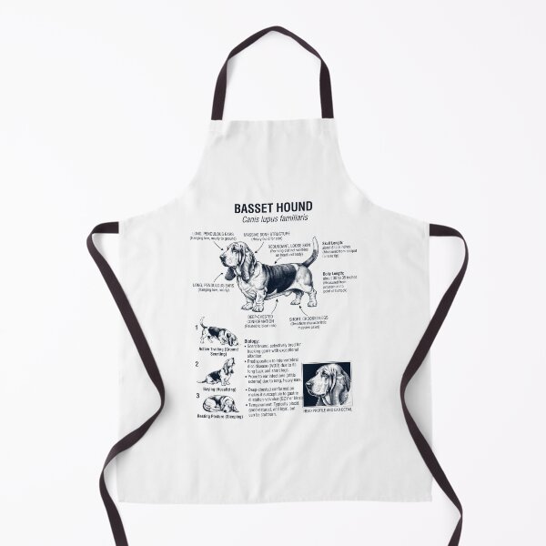 Item preview, Basset Hound Scientific Anatomy Biology Dog Lover designed and sold by dian-rody-crest.