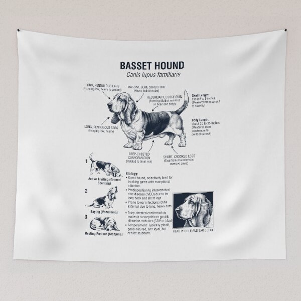 Item preview, Basset Hound Scientific Anatomy Biology Dog Lover designed and sold by dian-rody-crest.