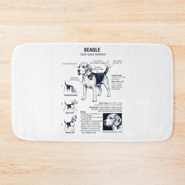 Item preview, Beagle Scientific Anatomy Biology Dog Lover designed and sold by dian-rody-crest.