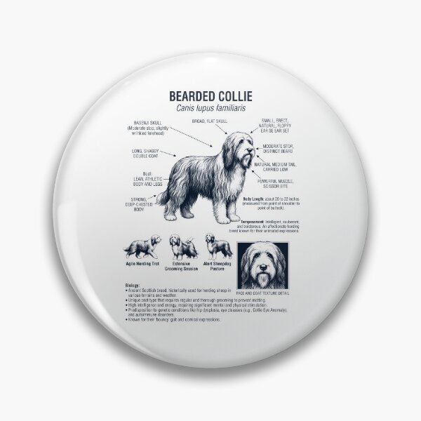 Item preview, Bearded Collie Scientific Anatomy Biology Dog Lover designed and sold by dian-rody-crest.