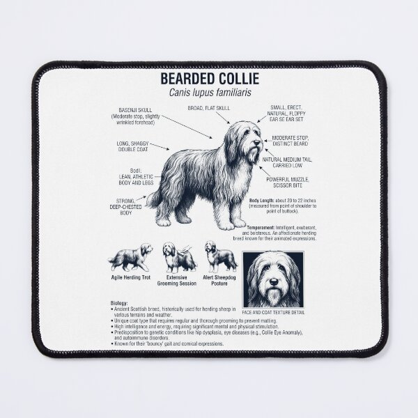 Item preview, Bearded Collie Scientific Anatomy Biology Dog Lover designed and sold by dian-rody-crest.