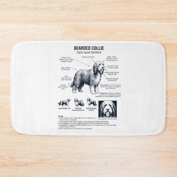 Item preview, Bearded Collie Scientific Anatomy Biology Dog Lover designed and sold by dian-rody-crest.