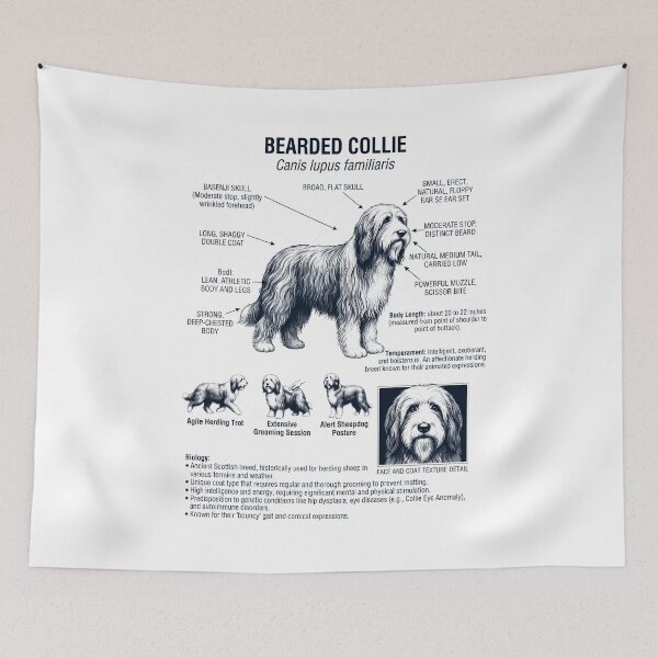 Item preview, Bearded Collie Scientific Anatomy Biology Dog Lover designed and sold by dian-rody-crest.