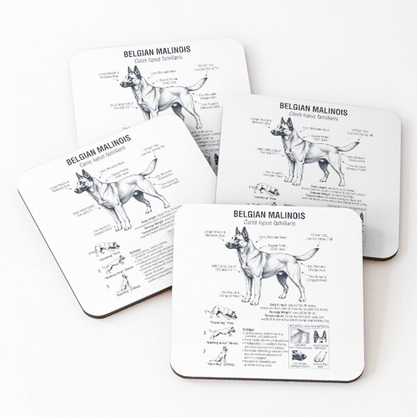 Item preview, Belgian Malinois Scientific Anatomy Biology Dog Lover designed and sold by dian-rody-crest.