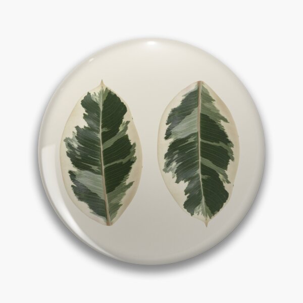 Item preview, Ficus Elastica Variegata designed and sold by mooneko.