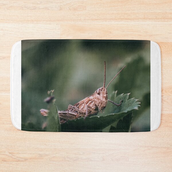 Item preview, Brown Grasshopper Resting On Green Leaf Close Up designed and sold by Guthries.