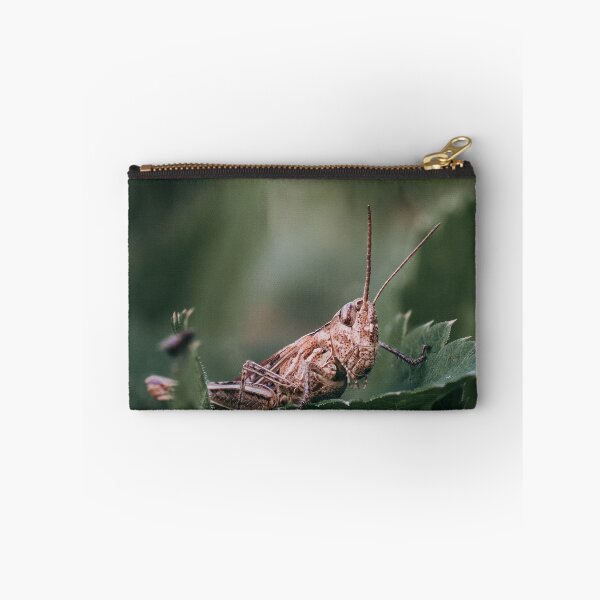 Item preview, Brown Grasshopper Resting On Green Leaf Close Up designed and sold by Guthries.