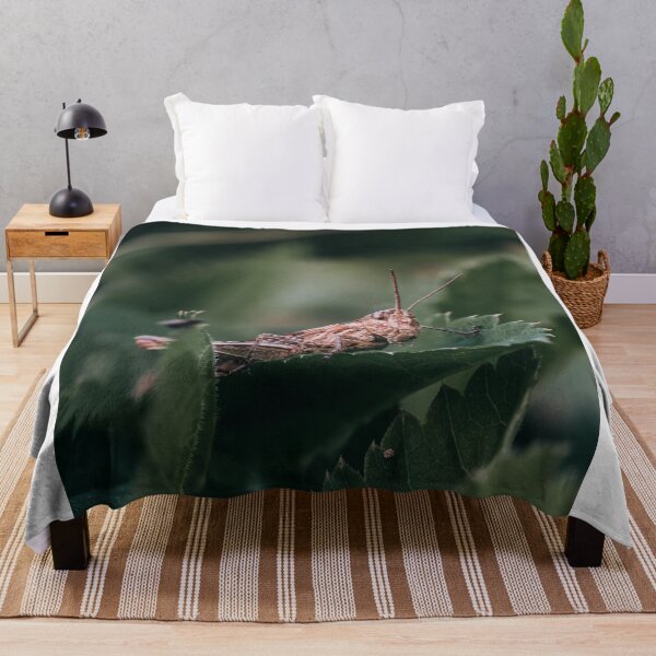 Item preview, Brown Grasshopper Resting On Green Leaf Close Up designed and sold by Guthries.