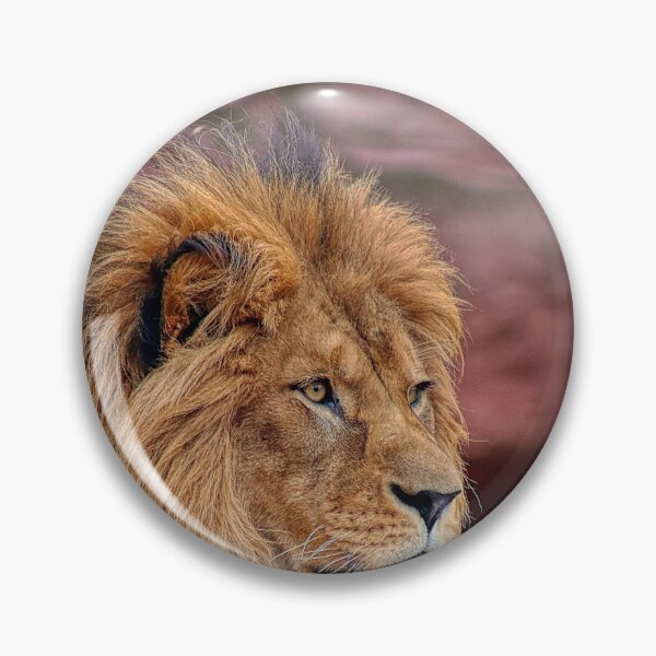 Item preview, Close Up Portrait Of Male Lion With Full Mane designed and sold by Guthries.