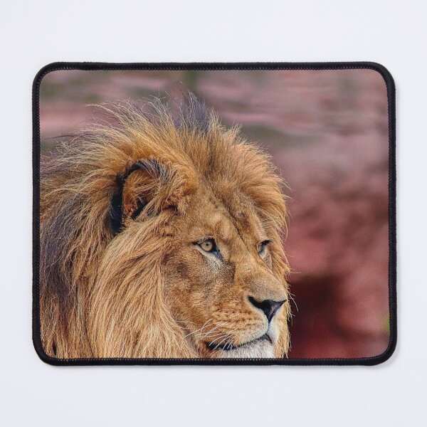 Item preview, Close Up Portrait Of Male Lion With Full Mane designed and sold by Guthries.