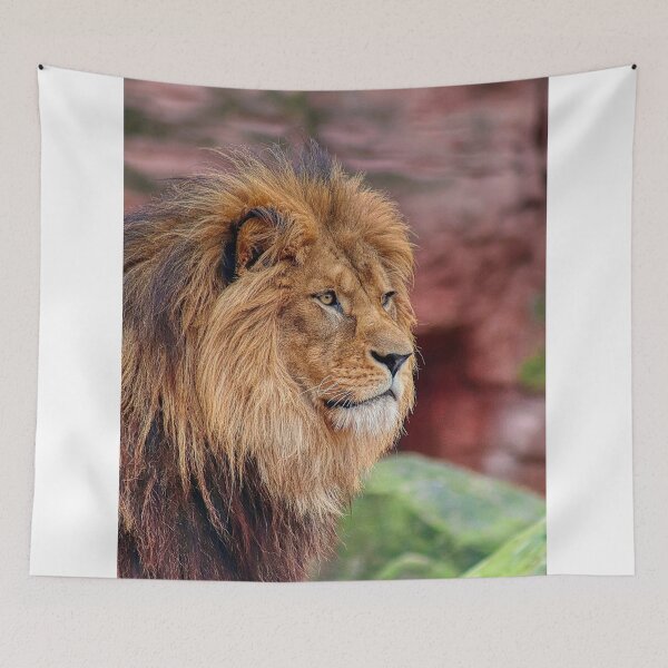 Item preview, Close Up Portrait Of Male Lion With Full Mane designed and sold by Guthries.