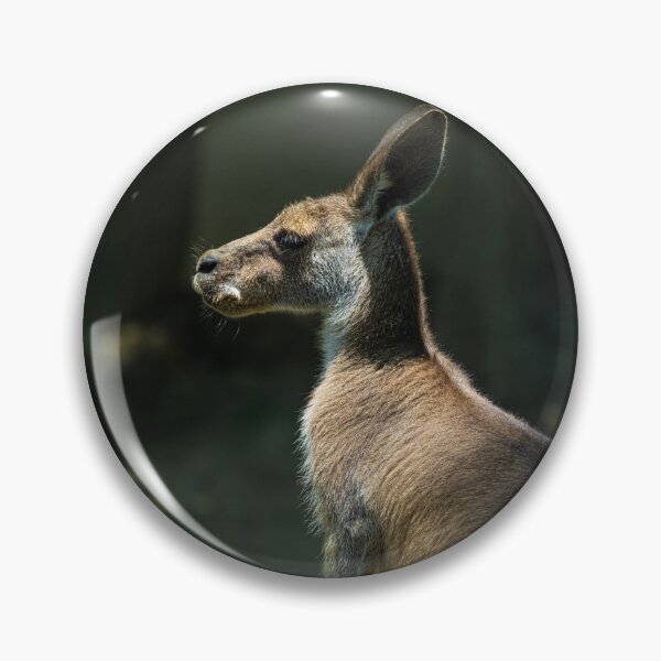 Item preview, Side View Profile Of Kangaroo Standing Outdoors designed and sold by Guthries.