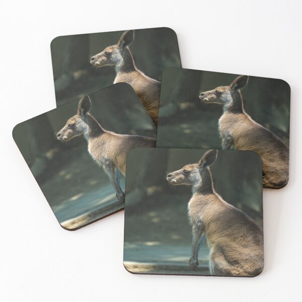 Item preview, Side View Profile Of Kangaroo Standing Outdoors designed and sold by Guthries.