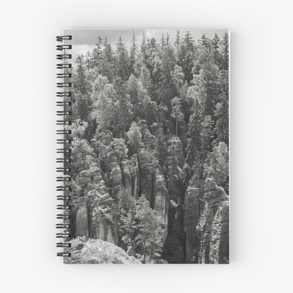 Item preview, Stone Forest – Black & White Sandstone designed and sold by alicjamiekina.