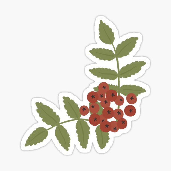 Item preview, rowan berries designed and sold by sarahsdesigns02.