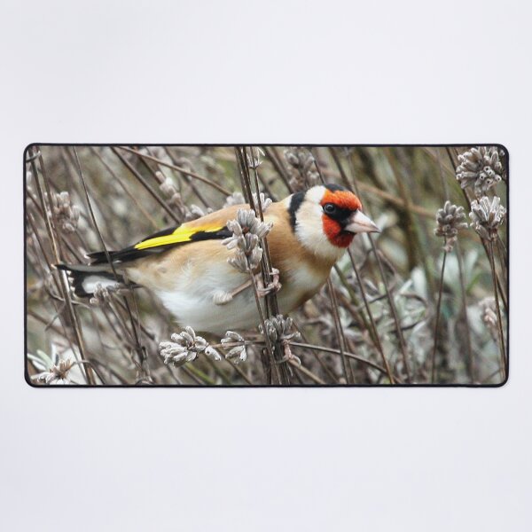 Item preview, Goldfinch designed and sold by Terri Waters Photography & Design.