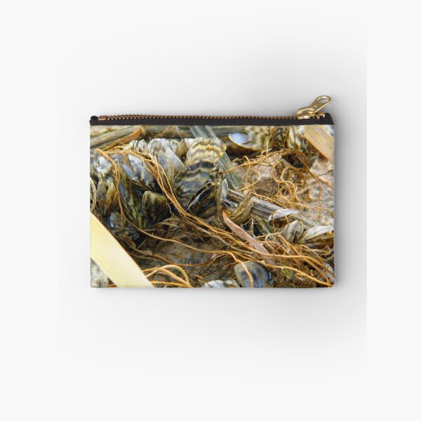 Item preview, Zebra Mussels designed and sold by WildestArt.