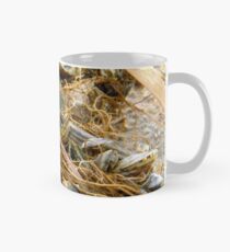 Zebramuscheln Tasse