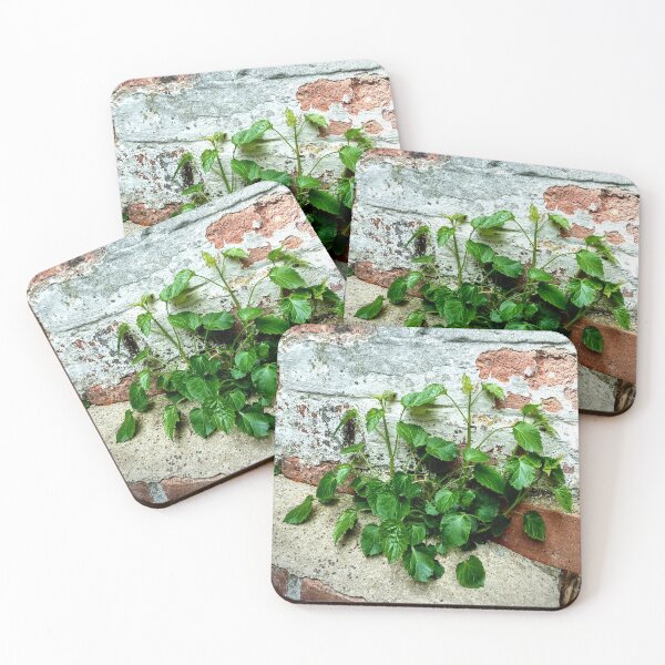 Item preview, Nature Will Always Find a Way designed and sold by Murph's Images.
